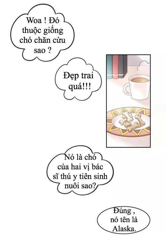 Dưới Móng Vuốt Mèo: Chapter 16