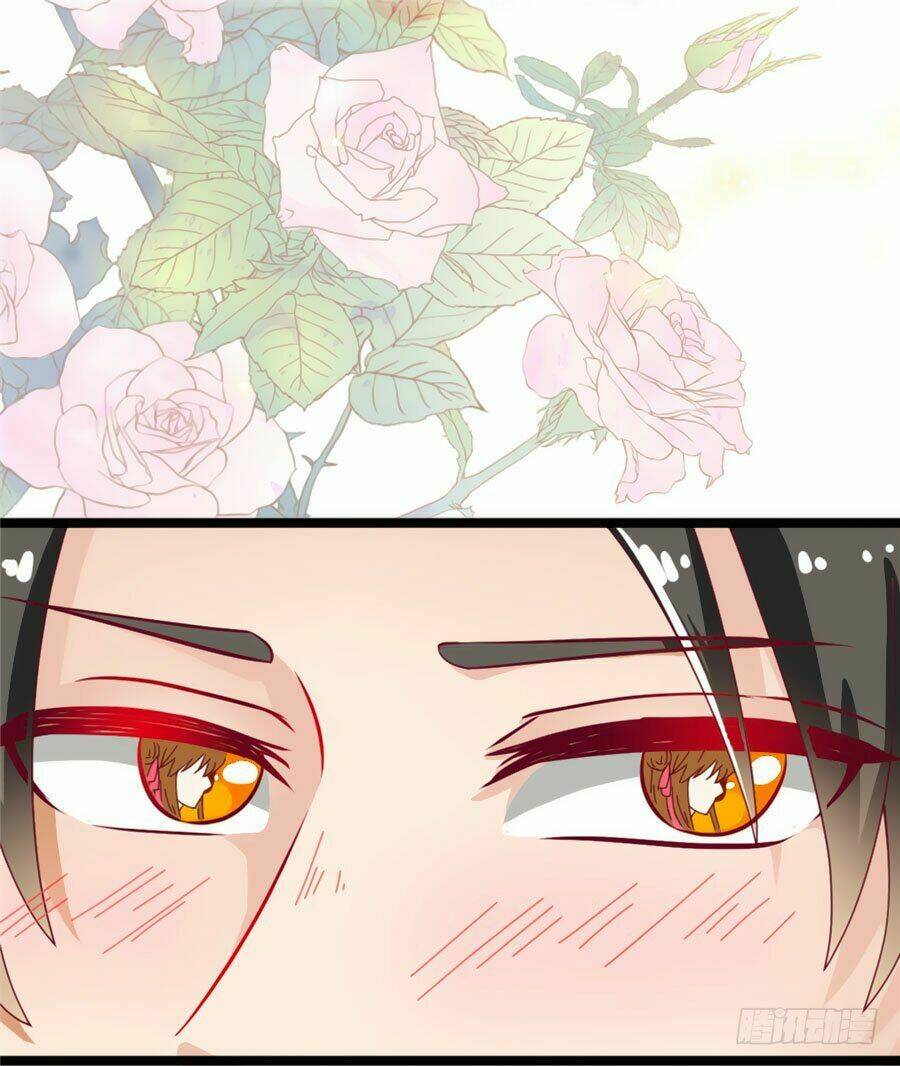 Ngọc Vi Mai: Chapter 5