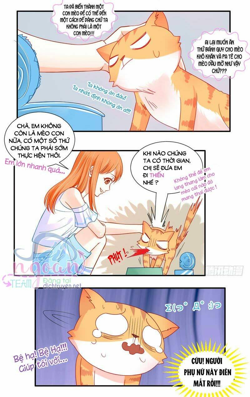 Ma Vương Đại Nhân Đi Thông Thả: Chapter 52