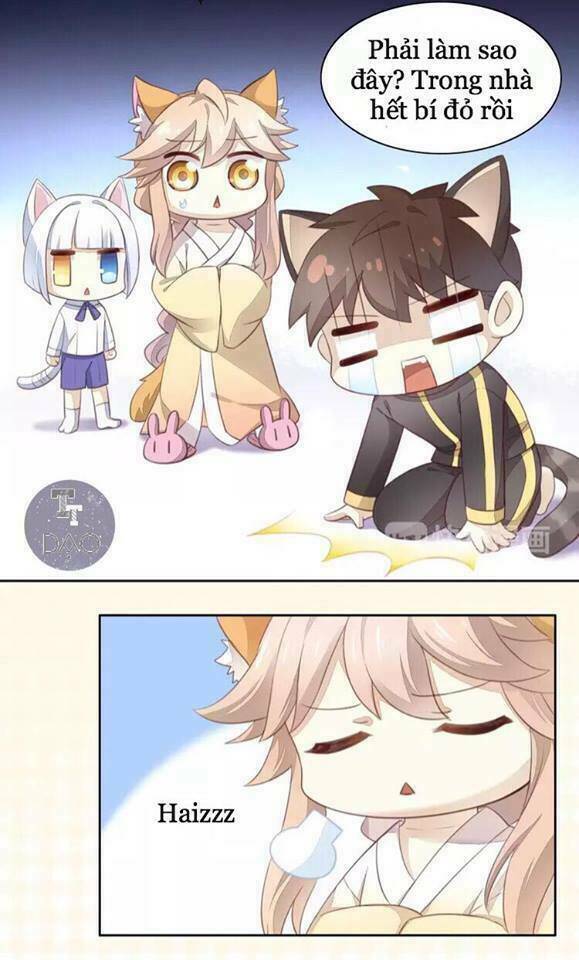 Dưới Móng Vuốt Mèo: Chapter 18