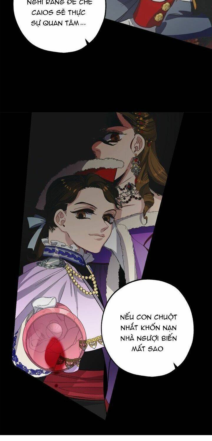 Tình Điên Dại: Chapter 42