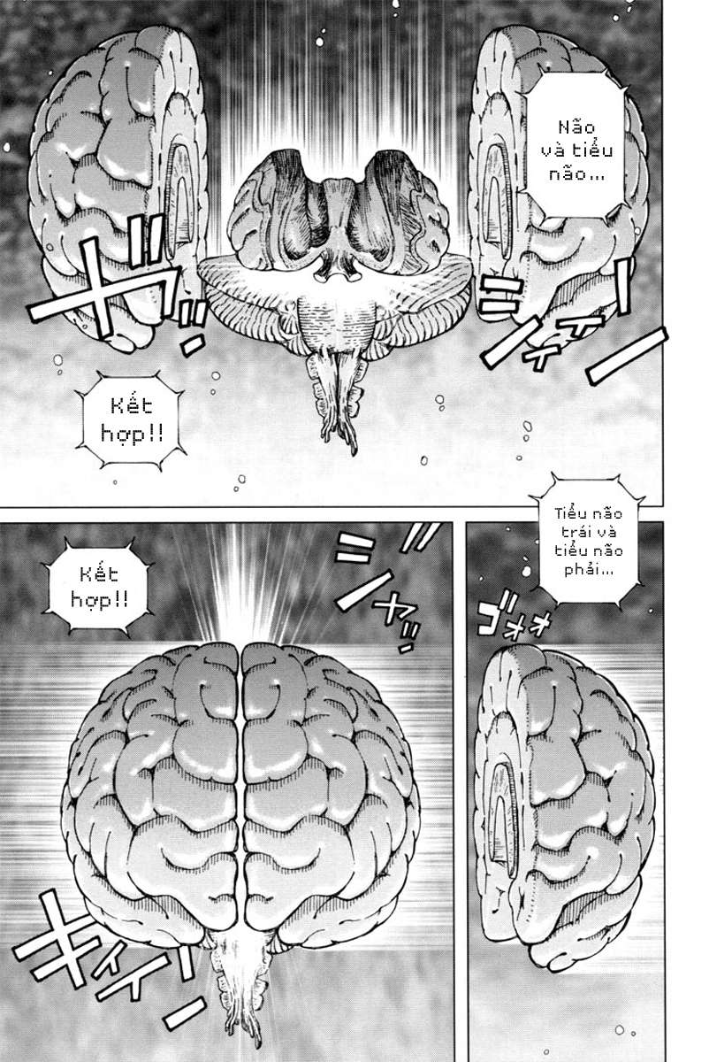 Battle Angel Alita Last Order: Chapter 1