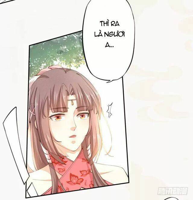 Tuyệt Thế Luyện Đan Sư: Chapter 28