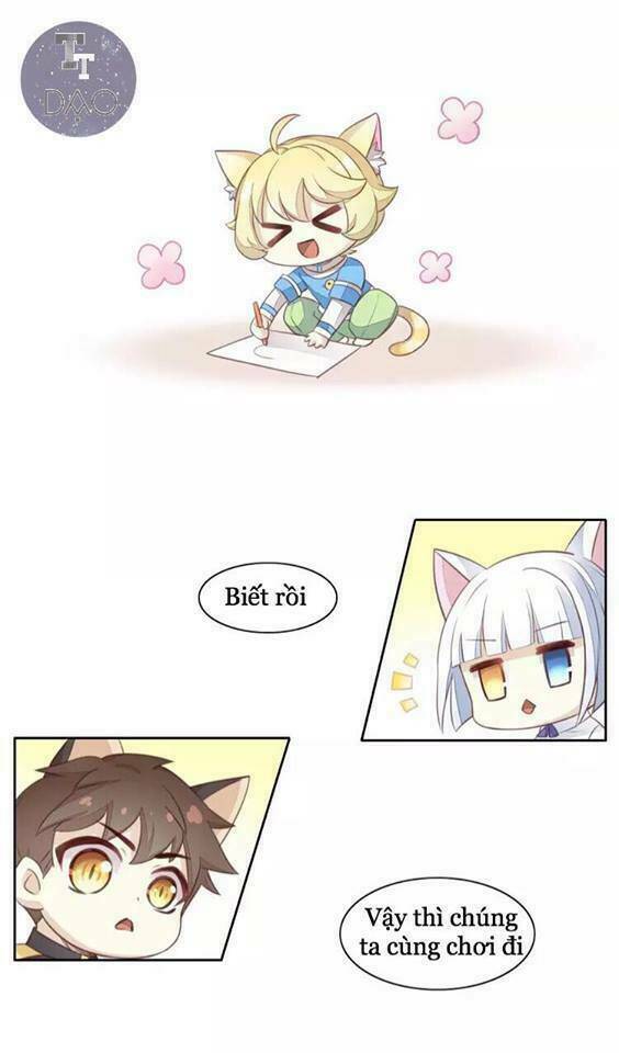 Dưới Móng Vuốt Mèo: Chapter 18