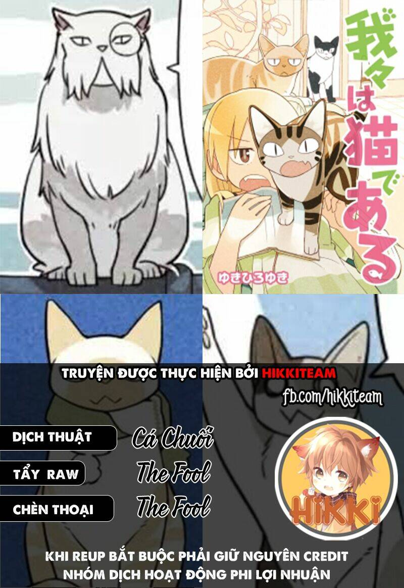 We Are Cat: Chapter 13