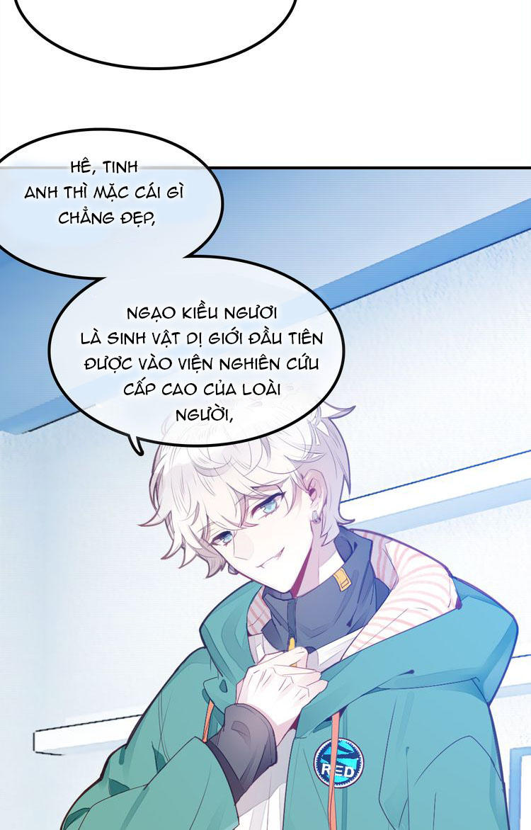 Ái Ngạo Kiều Long Vương Gia: Chapter 5