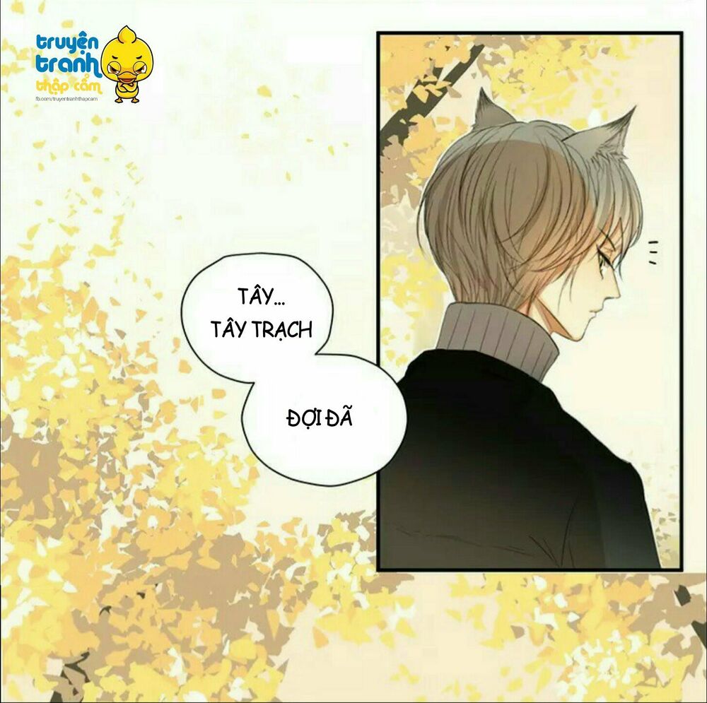 Cứu mạng ! Loài mèo thống trị thế giới rồi !: Chapter 38