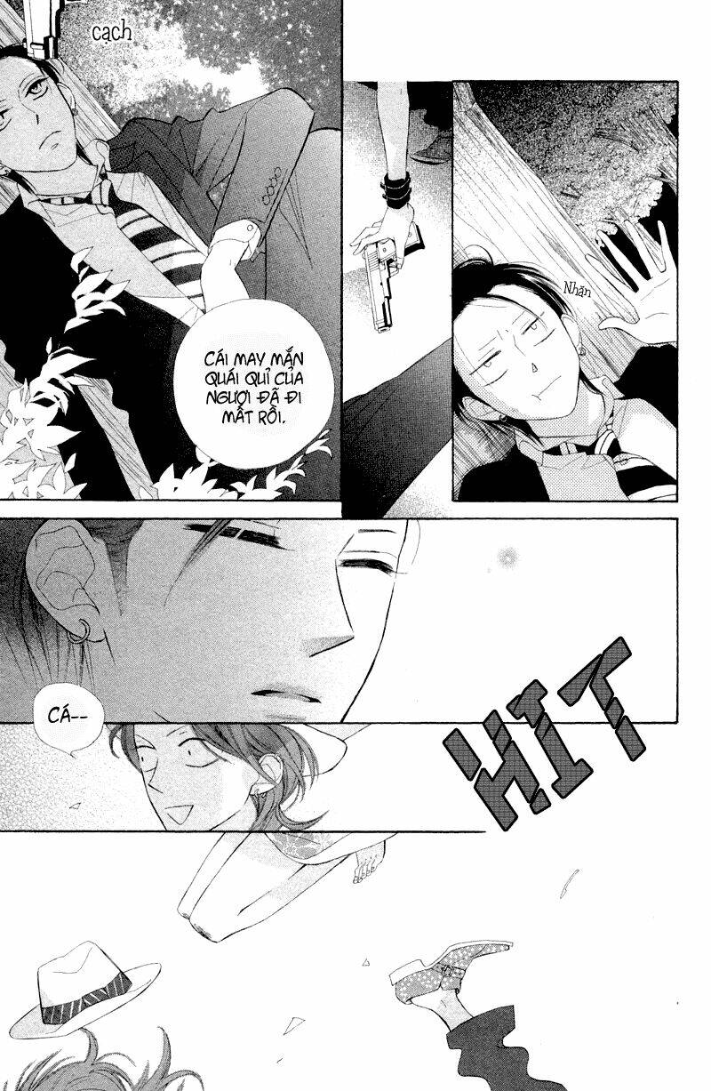 Hoa Trong Bão: Chapter 4