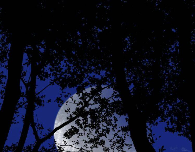 Lượm Được Một Tiểu Hồ Ly 2: Chapter 47.5