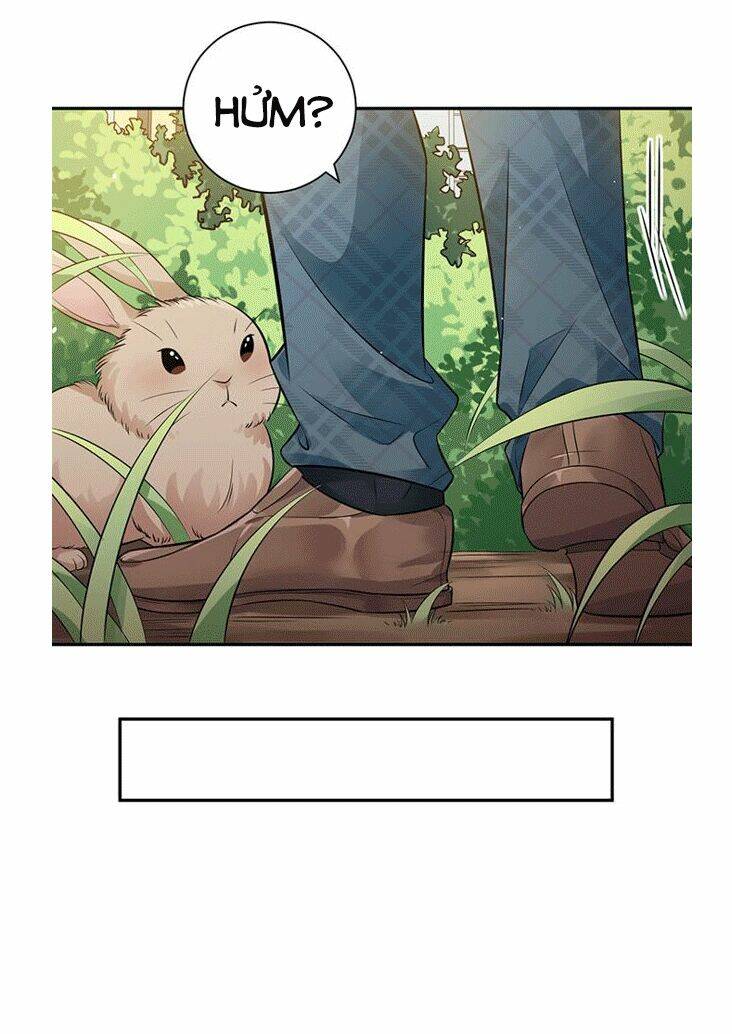 Trọng Sinh Để Ngủ Với Ảnh Đế: Chapter 212