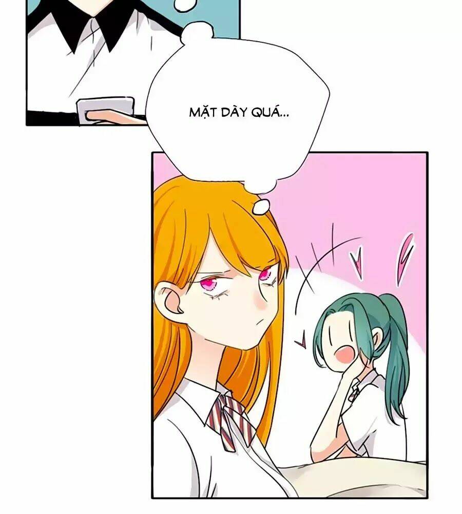 Mùi Hương Lãng Mạn: Chapter 19