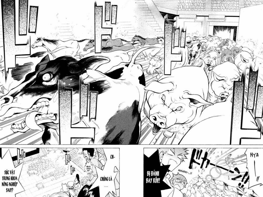 Hell\’s Kitchen: Chapter 33