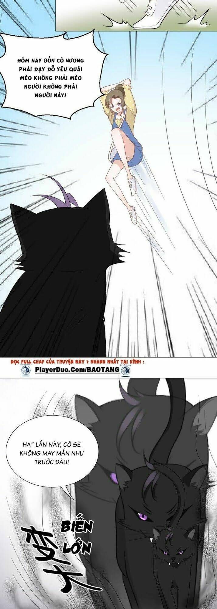 Thập Nhị Hắc Miêu: Chapter 10