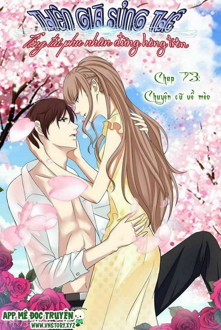 Cưng Chiều Vợ Yêu: Chapter 73: Chuyện cũ về mèo
