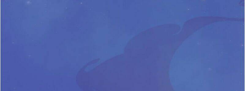 Yêu Nhan Lệnh: Chapter 18