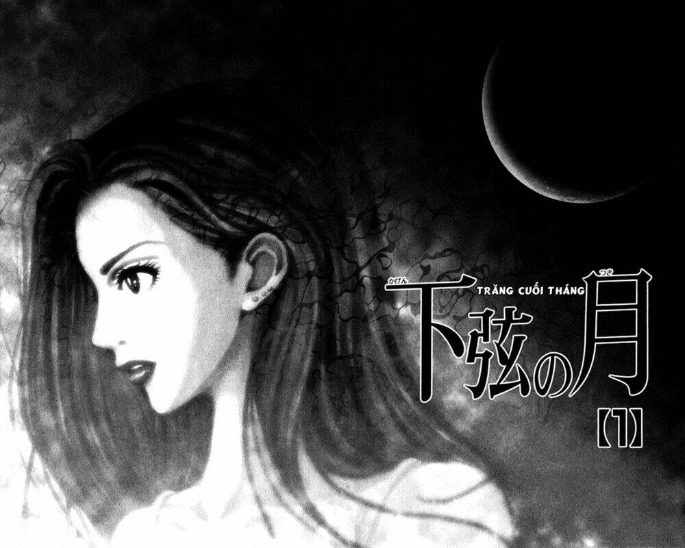 Last Quarter: Chapter 1