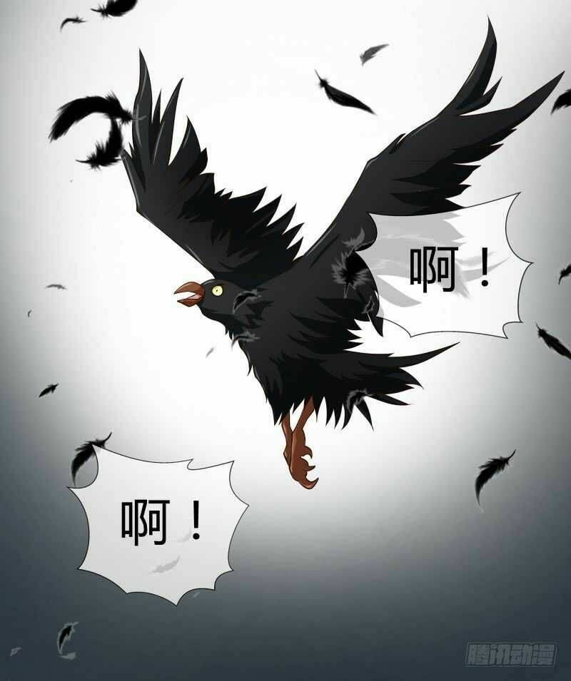 Thiên Tài Tiểu Độc Phi: Chapter 77