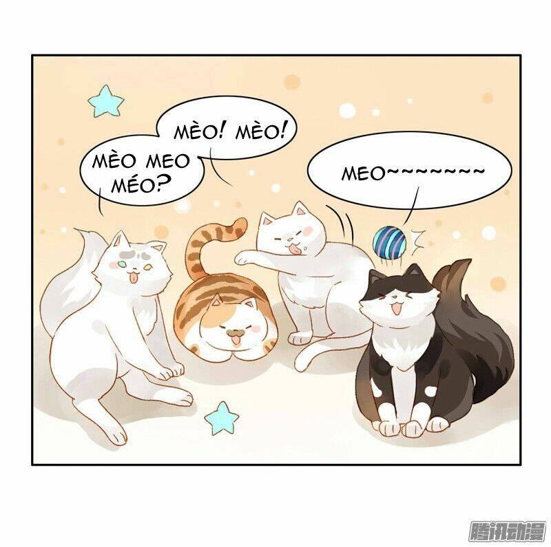 Sức Mạnh Của Sắc Đẹp: Chapter 58