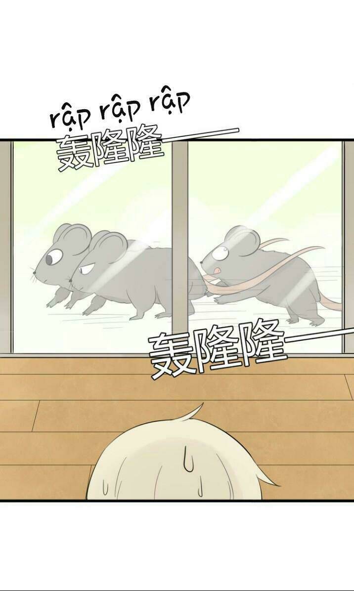 Thú Sủng Của Tôi Bị Mất Trí Rồi: Chapter 9