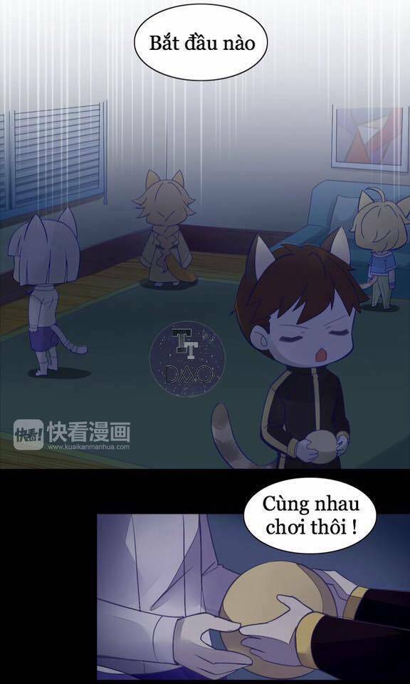 Dưới Móng Vuốt Mèo: Chapter 4
