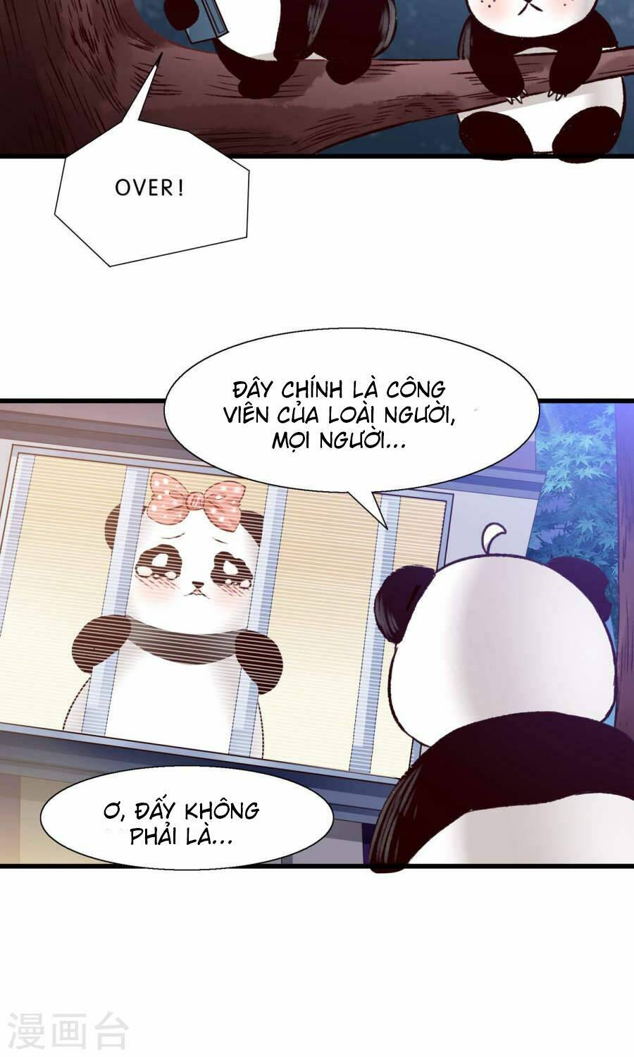 Tôi Bị Gấu Trúc Nhìn Trúng Rồi: Chapter 10