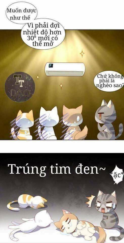 Dưới Móng Vuốt Mèo: Chapter 3