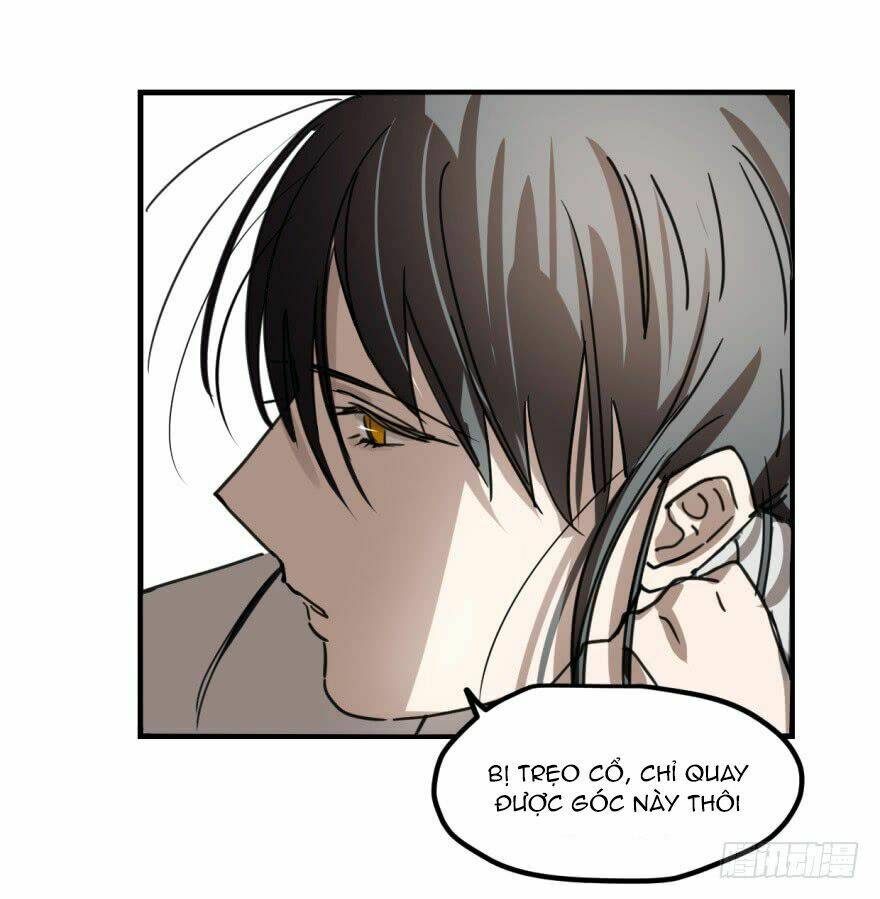 Truy Bắt Ngao Ngao: Chapter 11