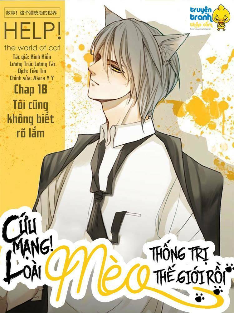 Cứu mạng ! Loài mèo thống trị thế giới rồi !: Chapter 18