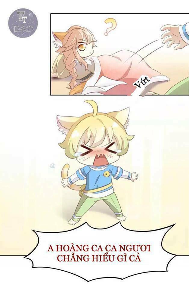 Dưới Móng Vuốt Mèo: Chapter 18