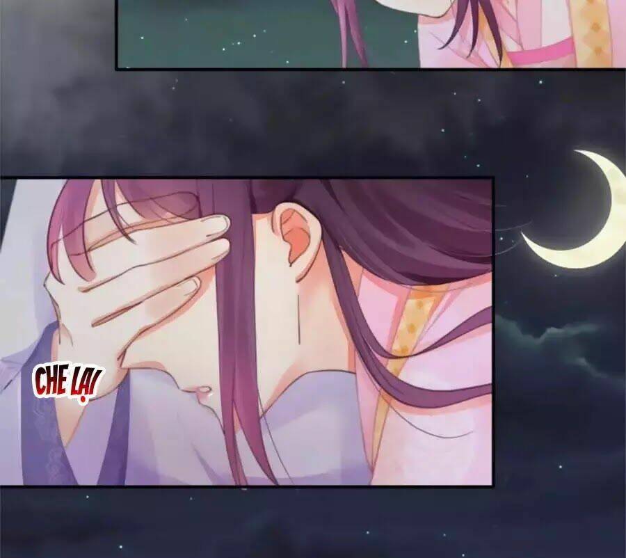 Hoạn Phi Hoàn Triều: Chapter 30