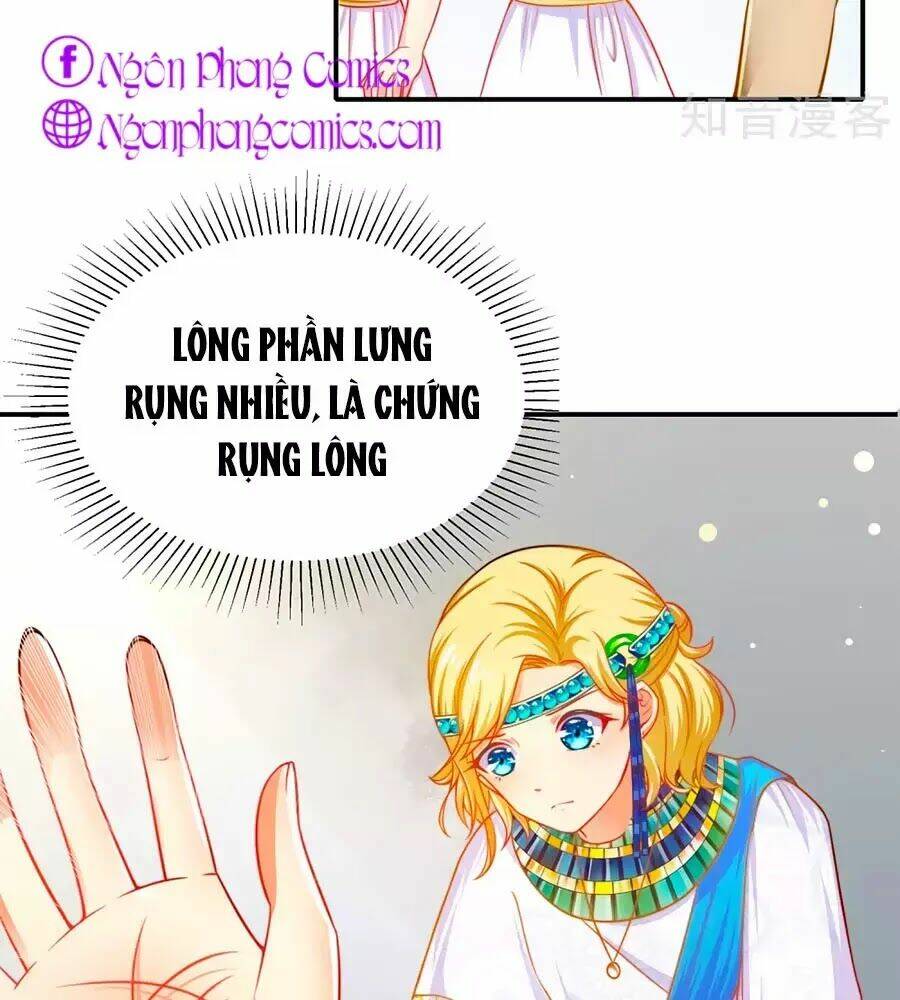 Sủng Hậu Của Vương: Chapter 1