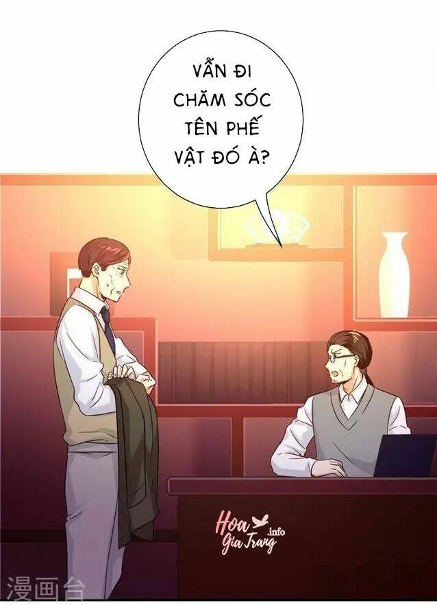 Phục Thù Thiếu Gia Tiểu Điềm Thê: Chapter 79