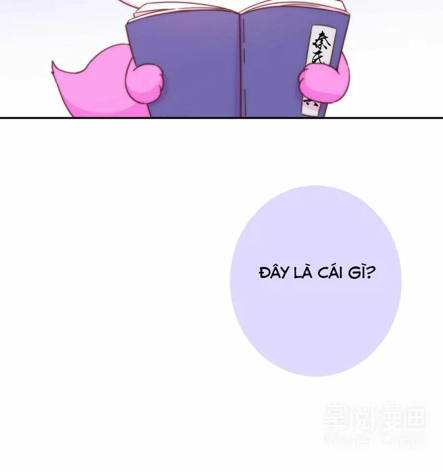 Vương Phi, Vương Gia Nhà Ngươi Không Ngốc Nữa Rồi: Chapter 7