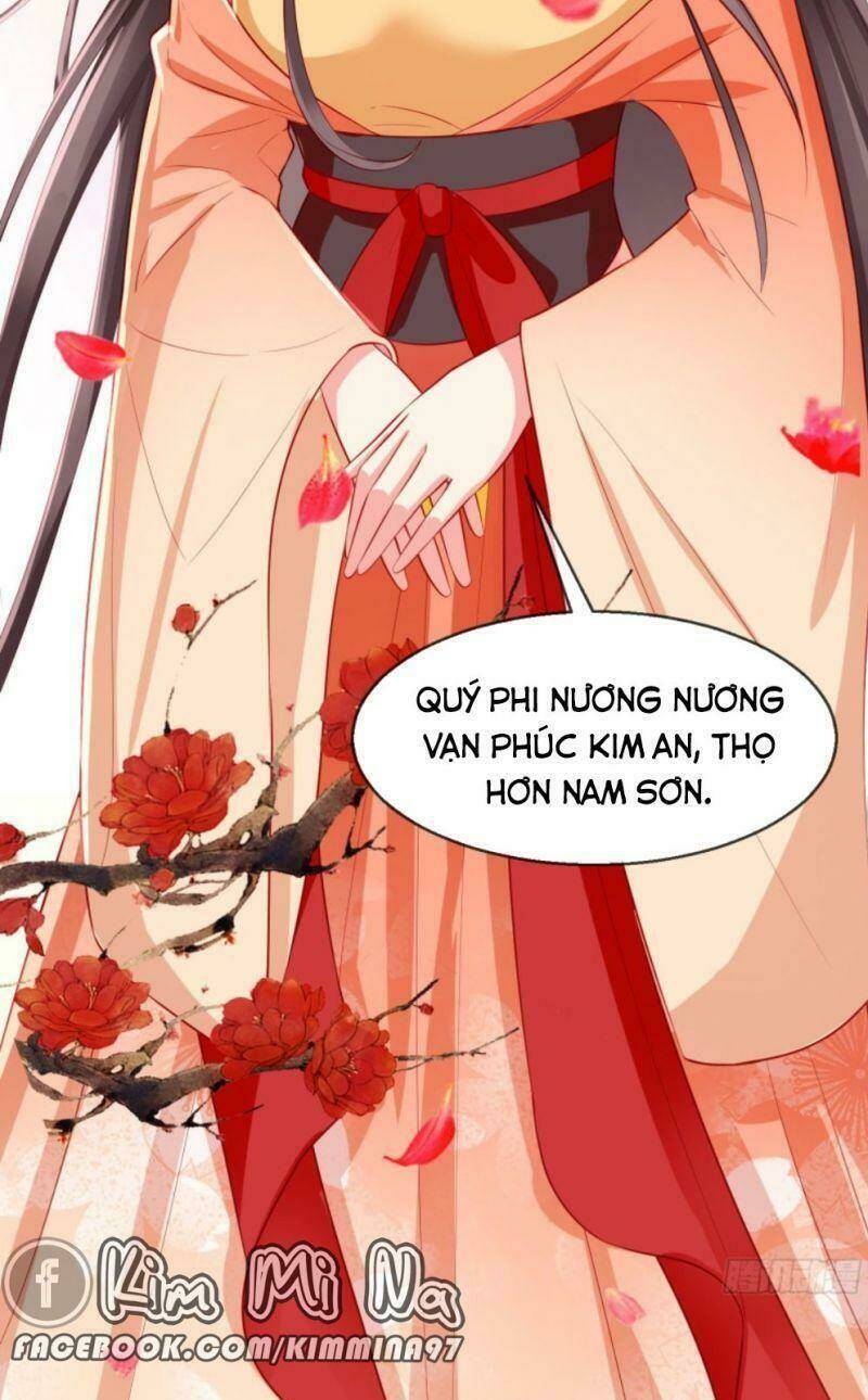 Vương Phi Là Đoá Bạch Liên Hoa: Chapter 24