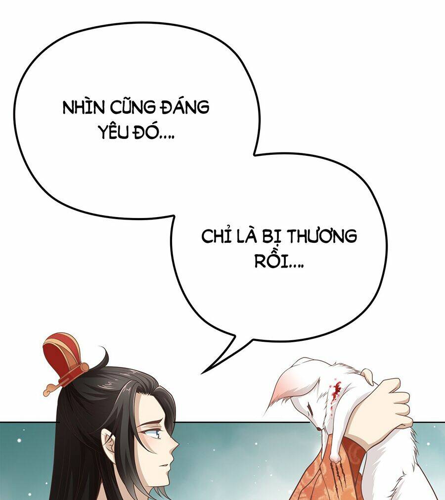 Vương Phi Thật Uy Vũ: Chapter 1