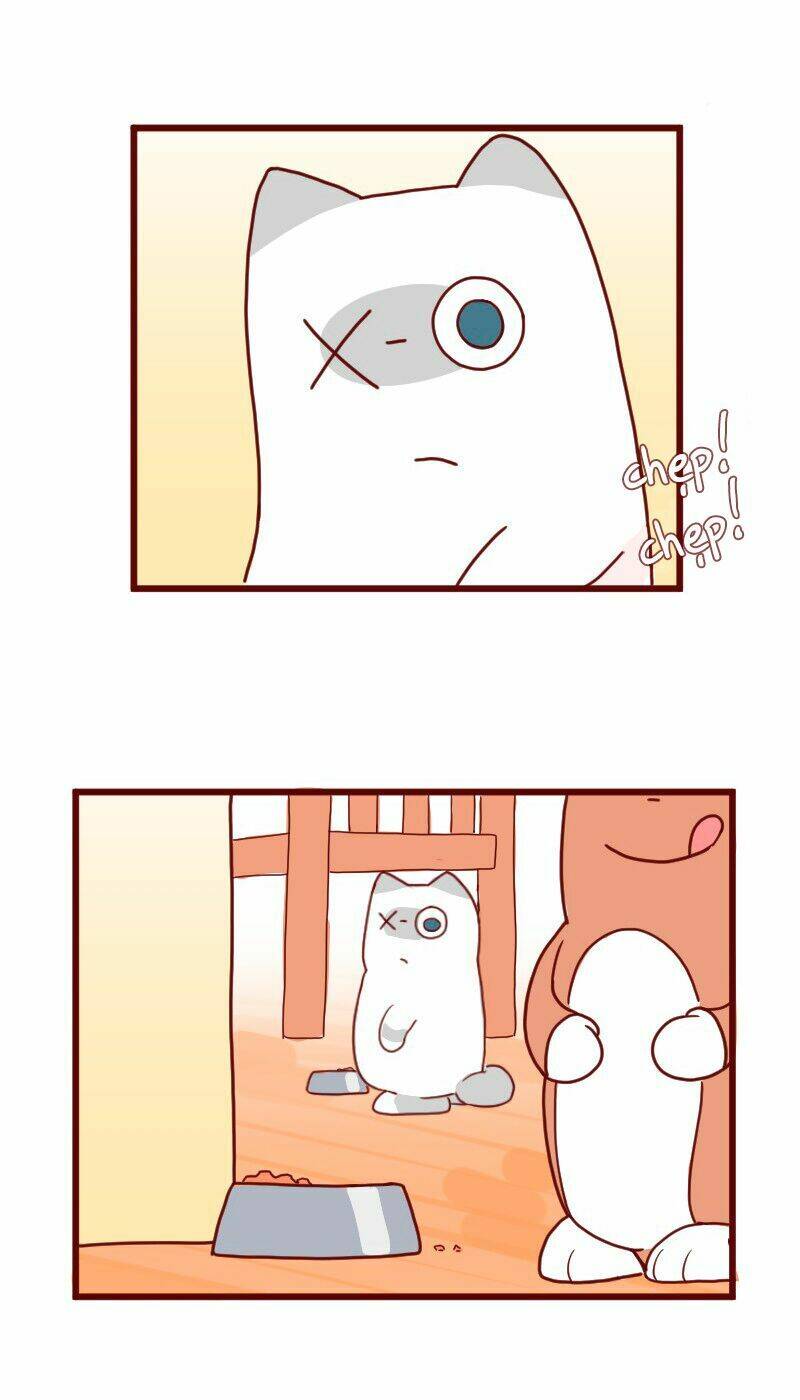 Saphie: Chú mèo một mắt: Chapter 8