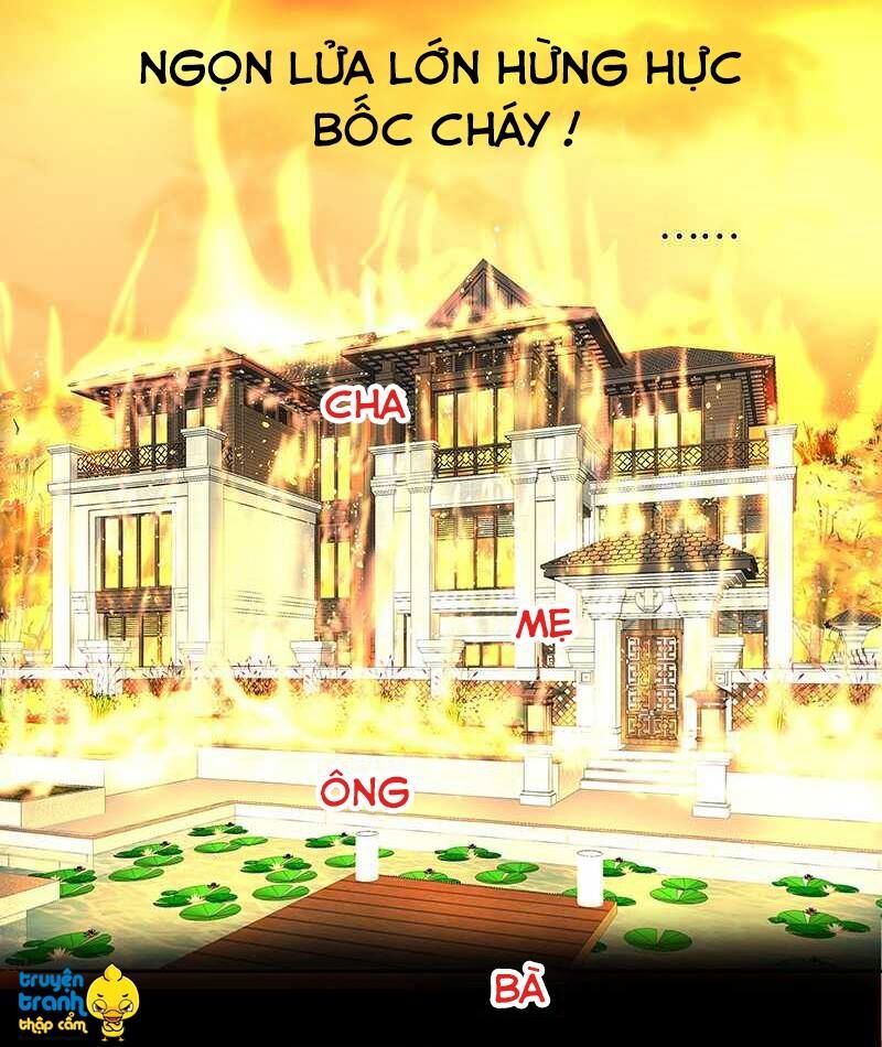 Cường Sủng Hào Môn Tiểu Manh Thê: Chapter 51