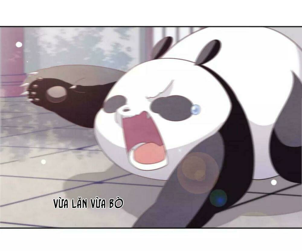 Xuyên Về Cổ Đại Làm Quốc Bảo: Chapter 8