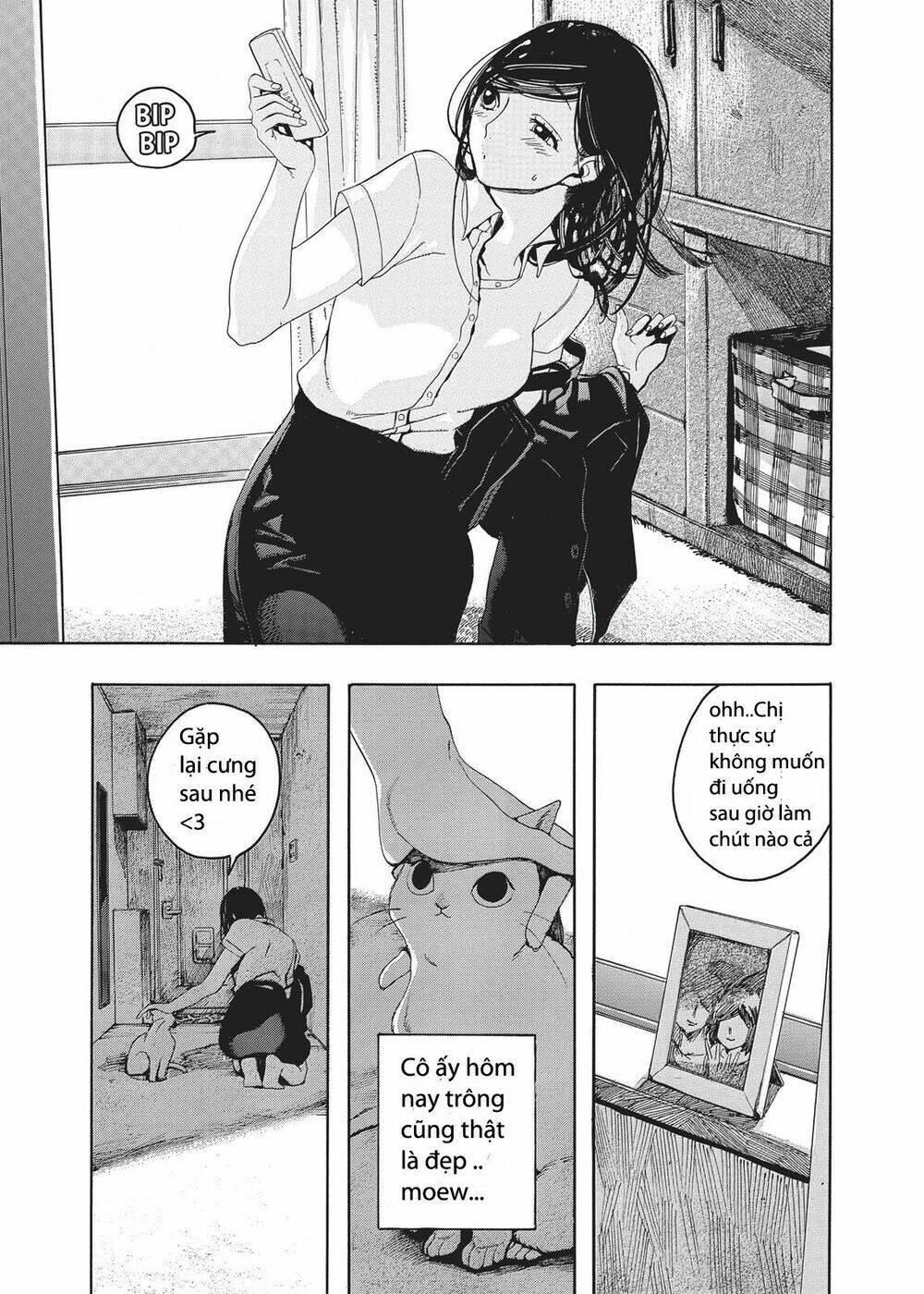 Chú Mèo Và Cô Chủ: Chapter 2