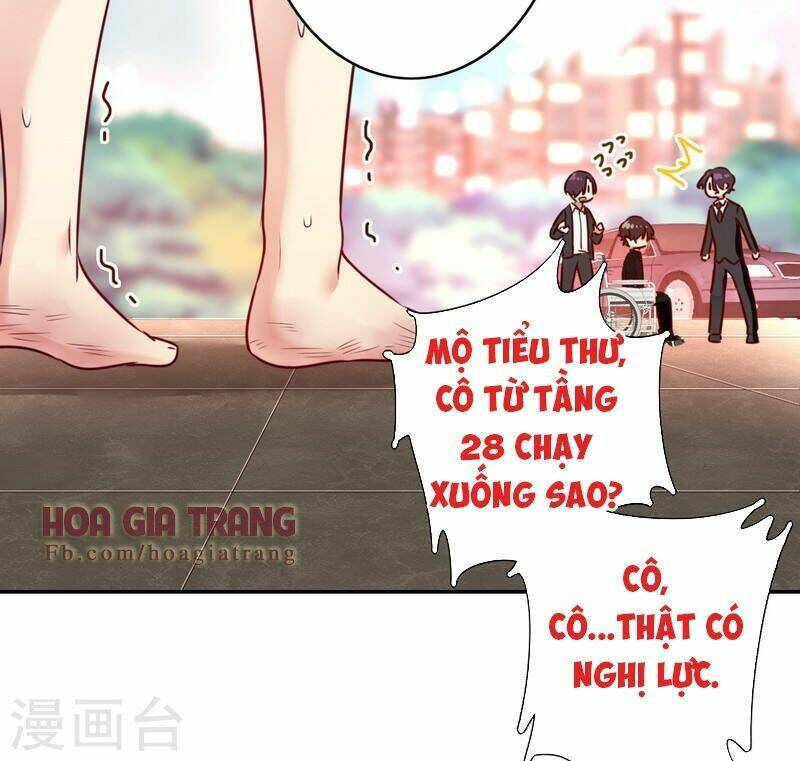 Phục Thù Thiếu Gia Tiểu Điềm Thê: Chapter 29