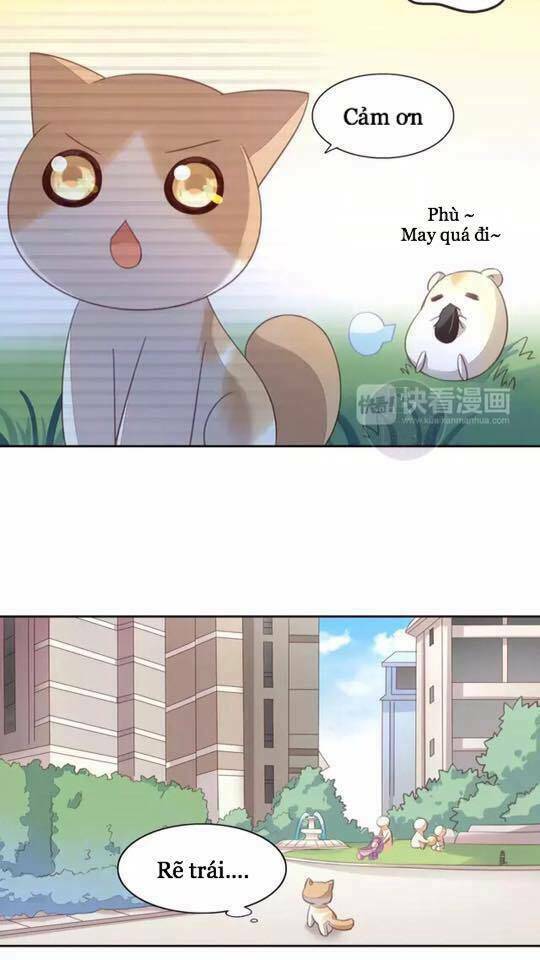 Dưới Móng Vuốt Mèo: Chapter 15