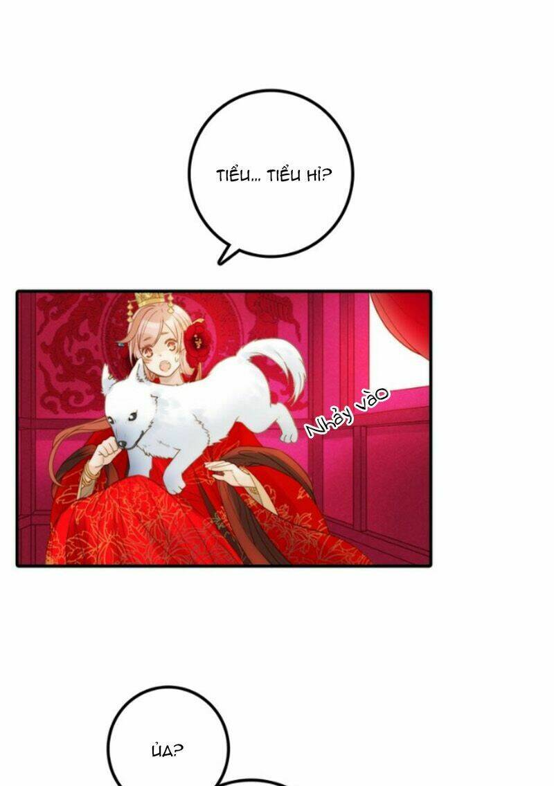 Cướp Chàng Vợ Về Đón Năm Mới: Chapter 24