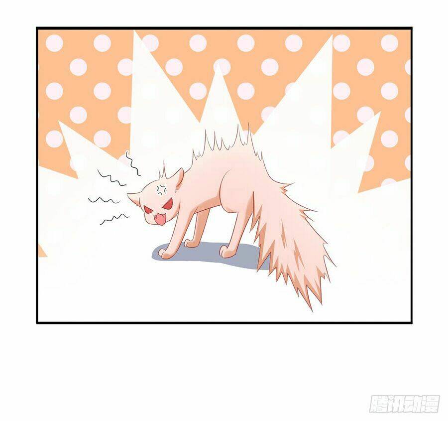 Tư Sủng Cục Cưng Bảo Bối: Chapter 13