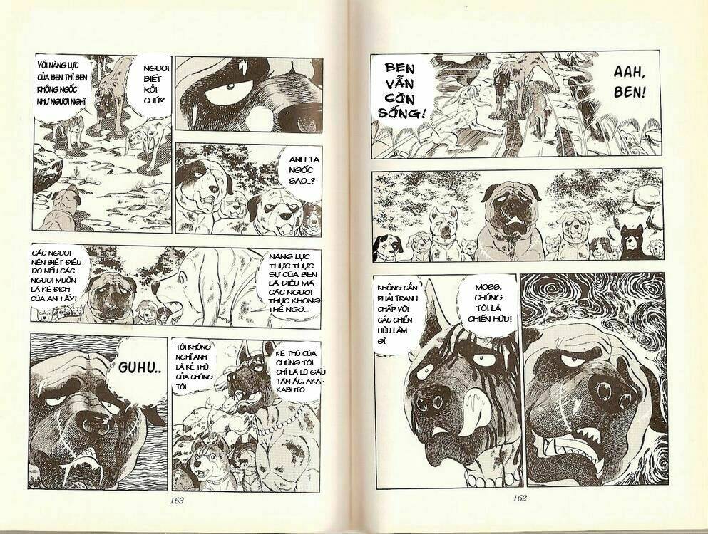Chú Chó Có Nghĩa - Ginga Nagareboshi Gin: Chapter 16