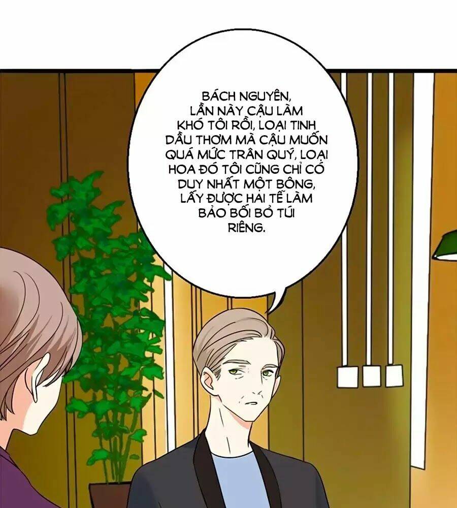 Mùi Hương Lãng Mạn: Chapter 13