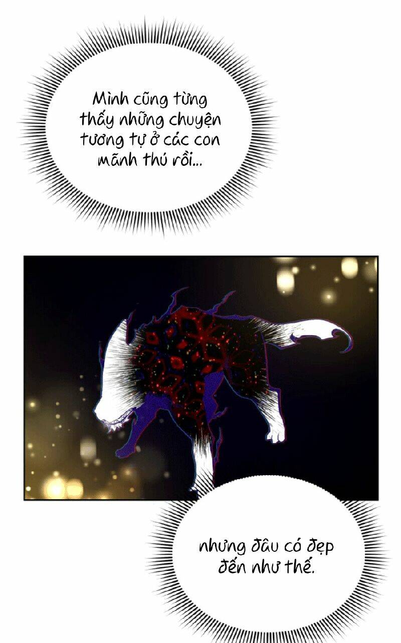 Nàng Elizabeth Thuần Khiết: Chapter 2