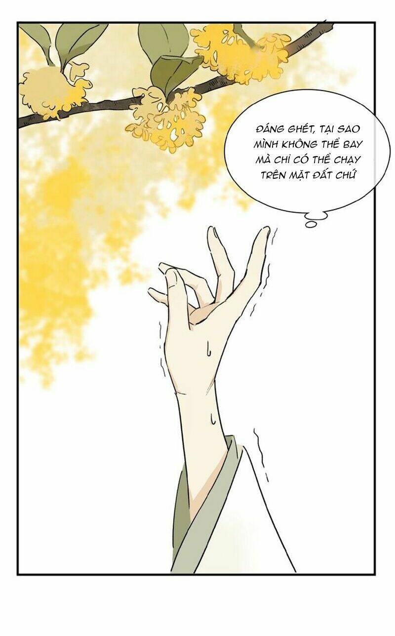 Phép Tắc Trường Ogus: Chapter 27.5