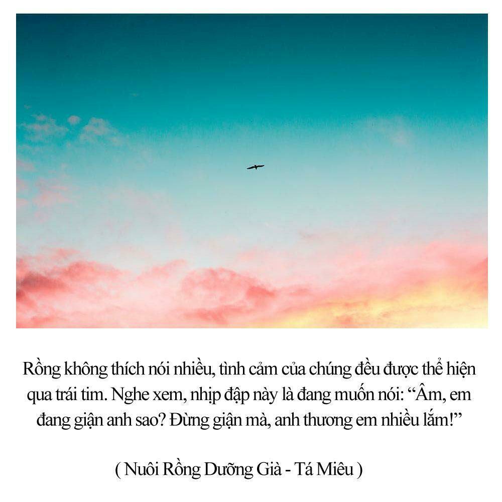 Tuyệt Thế Luyện Đan Sư: Chapter 33