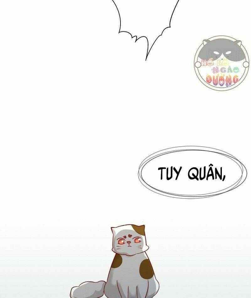 Ảnh Đế Yêu Hồ: Chapter 43