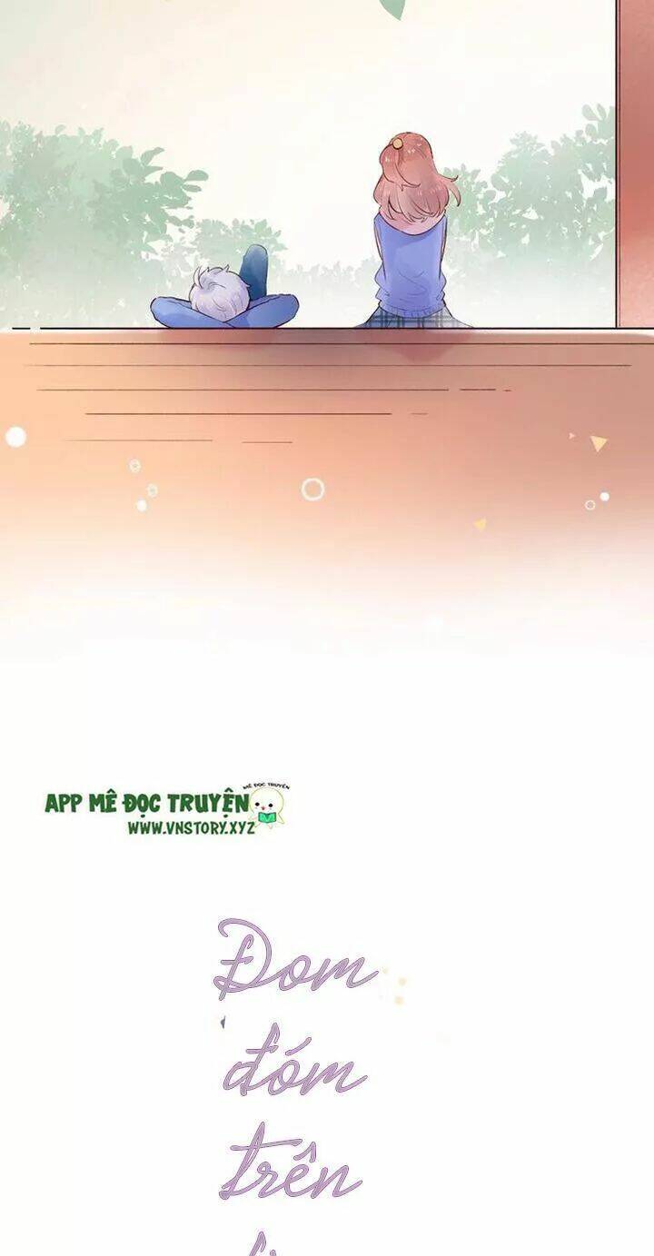 Trạch Thượng Tịch Mịch Huỳnh Hỏa: Chapter 61